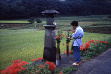 岩谷産業賞