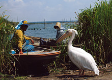 日立物流賞